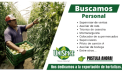 UNISPICE EMPLEOS Y TRABAJOS