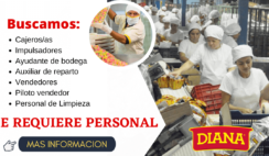 diana empleos
