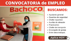 CONVOCATORIA DE TRABAJO BACHOCO